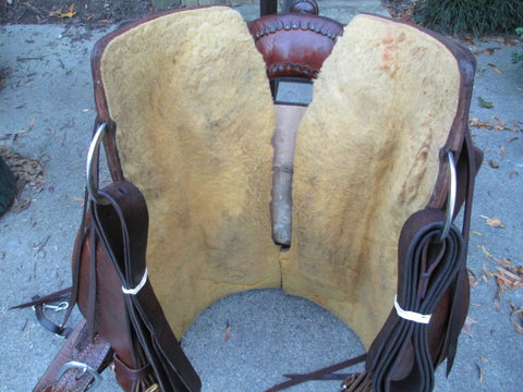 Wendy Allen Ranch Cutter