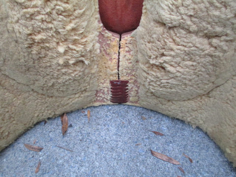 Bob's Show Saddle, Reining Saddle