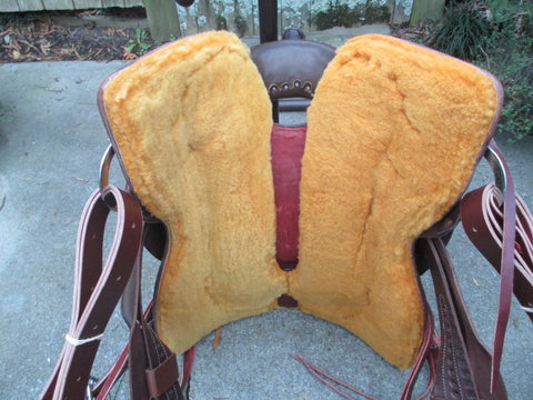 New Paul Taylor Platinum Series Cutting Saddle