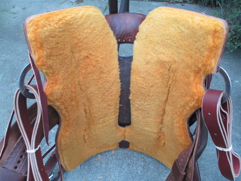 New Paul Taylor Platinum Series Ranch Cutter