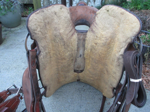 D. W. Barnes Roping Saddle